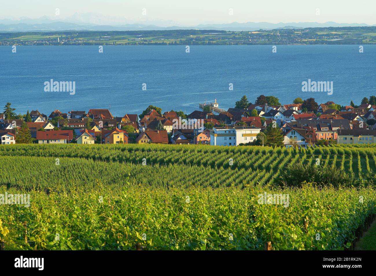 Hagnau on Lake Constance, Baden-Württemberg, Germany. Hagnau is a small village with vineyards and in the background you can see the Swiss mountains. Stock Photo