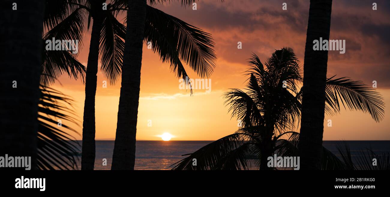 (Selective focus) Stunning view of a romantic sunset with the silhouette of some coconut palm trees in the foreground. Stock Photo