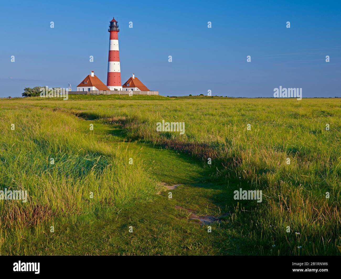 Westerheversand lighthouse, Eiderstedt peninsula, North Frisia, Schleswig-Holstein, Germany, Stock Photo