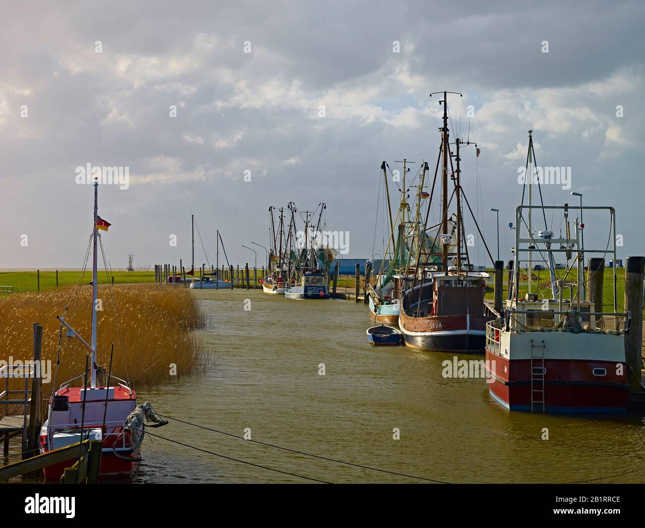 Harbor in Spieka Neufeld, Wurster coast, district of Cuxhaven, Lower Saxony, Germany, Stock Photo