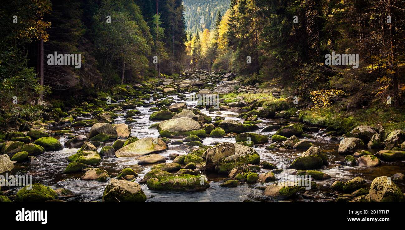 Vydra river valley, district Turnerova Chata, municipality of Srni,  Bohemian Forest, Czech Republic Stock Photo - Alamy