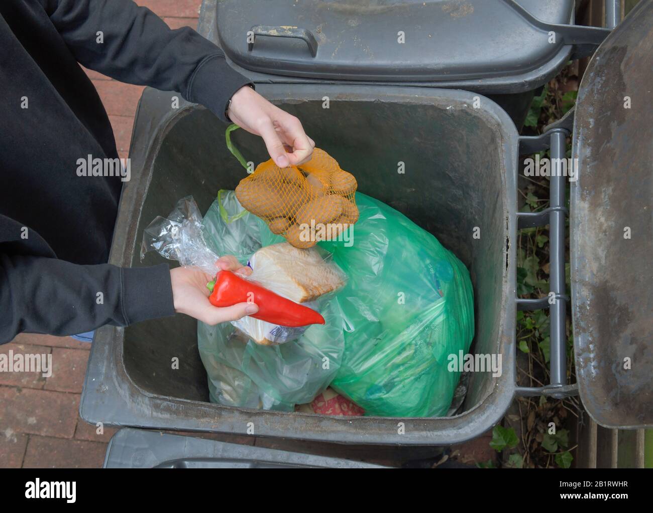 Lebensmittel, Abfall, Mülltonne, Verschwendung, Rettung Stock Photo