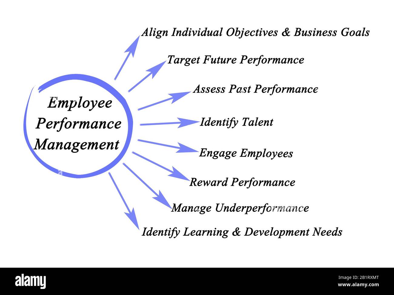 components-of-employee-performance-management-stock-photo-alamy