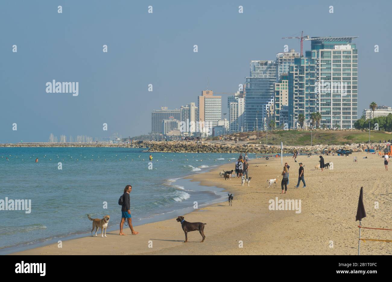 Hundestrand High Resolution Stock Photography and Images - Alamy