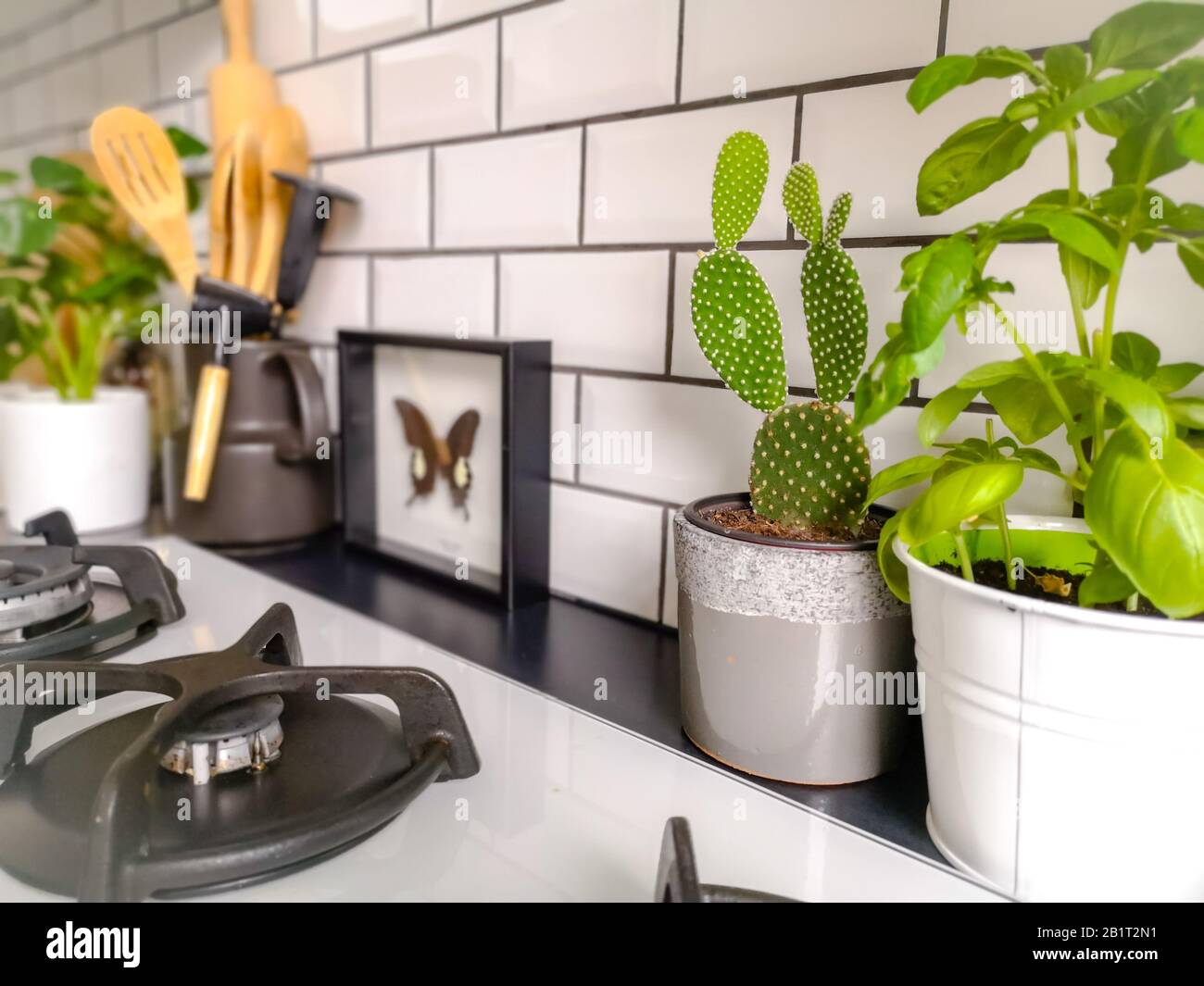 25 Best Kitchen Backsplash Ideas Tile Designs for Kitchen Black And