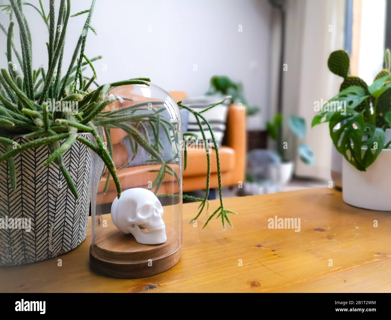 White porcelain animal head in a glass bell jar on a wooden coffee table in a light modern living room with numerous plants creating an urban jungle Stock Photo