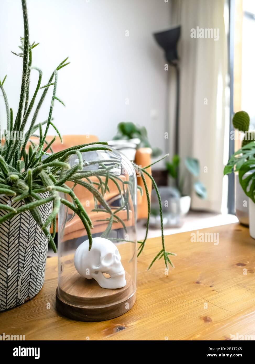 White porcelain animal head in a glass bell jar on a wooden coffee table in a light modern living room with numerous plants creating an urban jungle Stock Photo