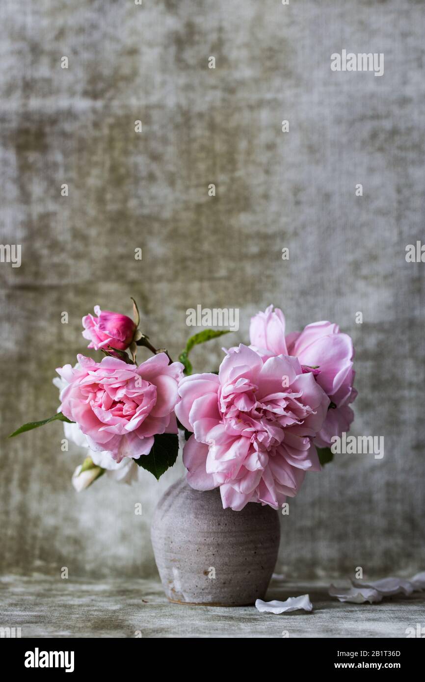Roses in pottery vase hi-res stock photography and images - Alamy