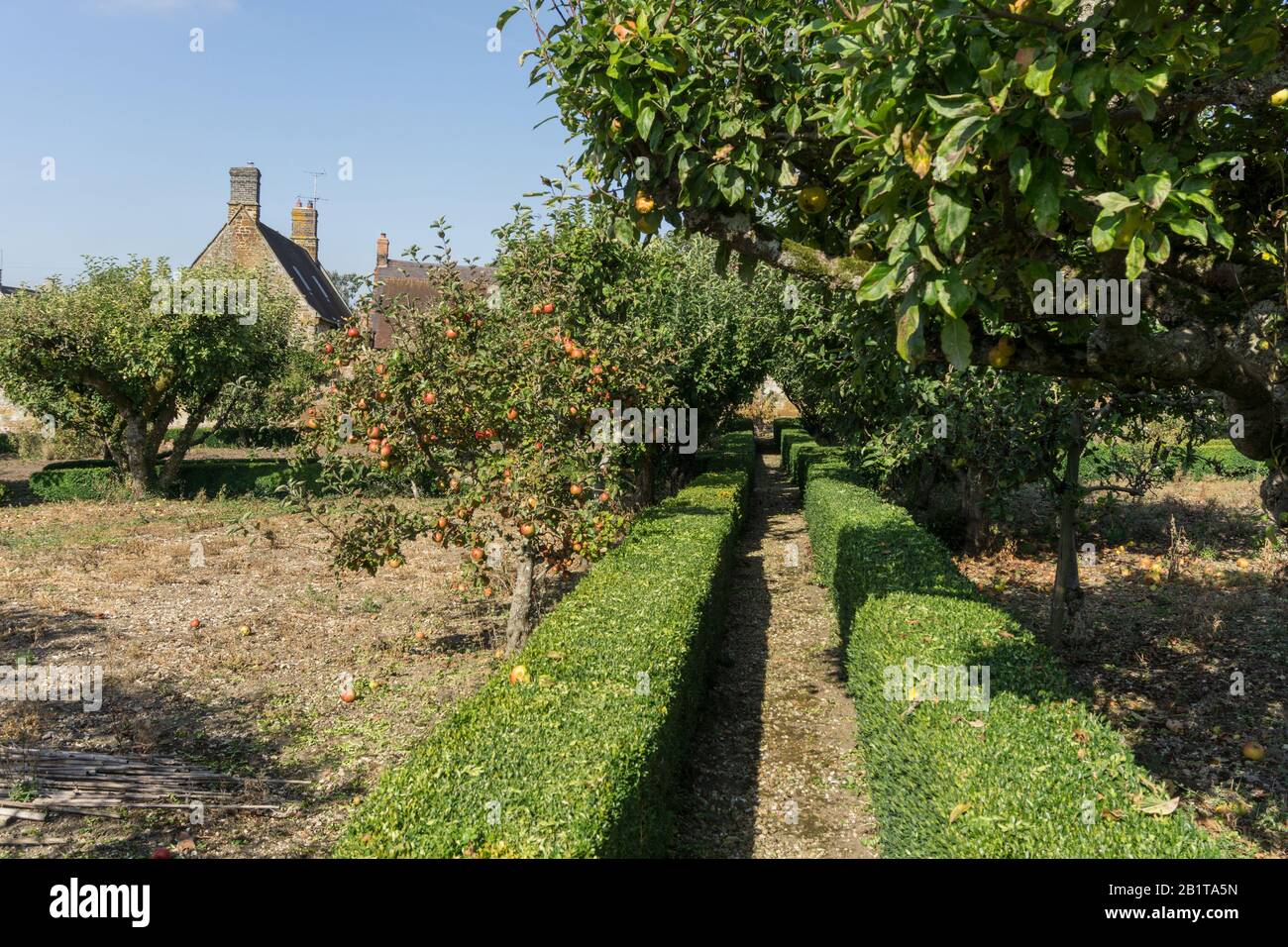 The orchard at Weston Hall, a late 17th century house and home to the famous literary Sitwell family since 1714; Weston, Northamptonshire, UK Stock Photo