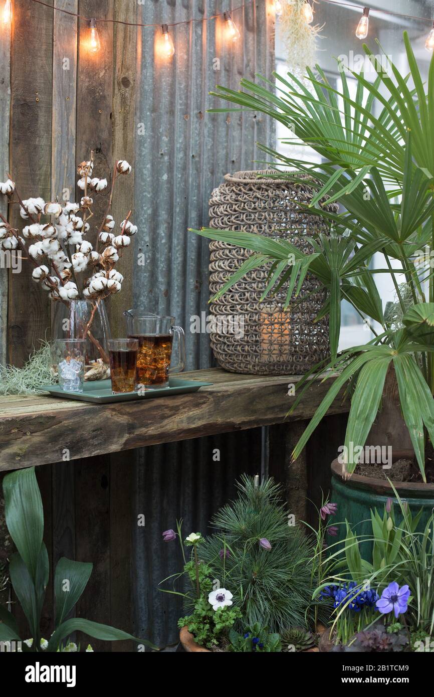 Northwest Flower and Garden Festival in Seattle, Washington, February 26, 2020 Stock Photo Alamy