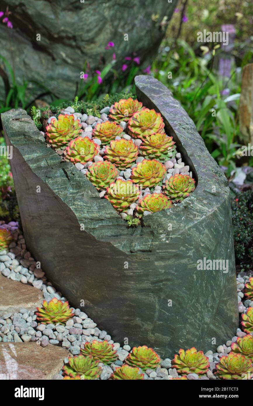 Northwest flower and garden show hires stock photography and images