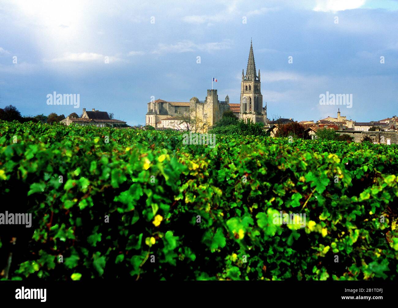 Village and vineyard of Saint-Emilion, Gironde, France, Europe Stock Photo