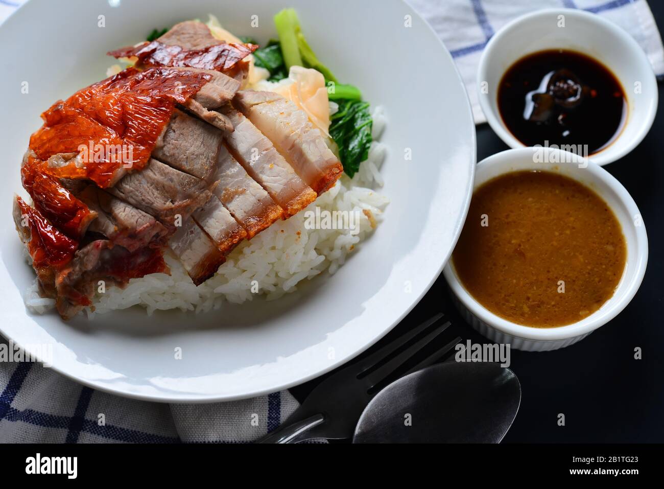 Rice with roasted duck and crispy skin pork belly Stock Photo Alamy