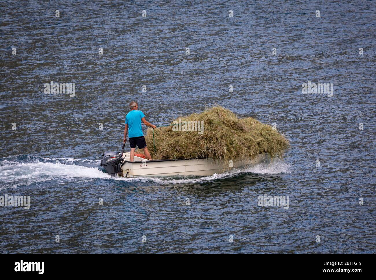 UNDREDAL, NORWAY - Small boat returning with hay harvest, on Aurlandsfjorden, a fjord in Vestland County. Stock Photo
