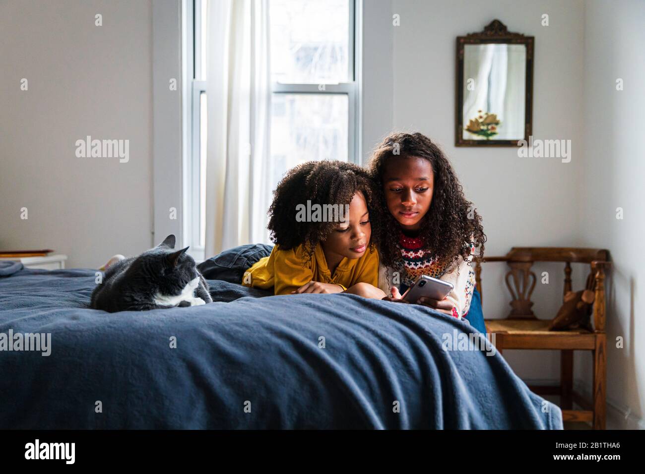 Sisters using smart phone while lying by cat on bed at home Stock Photo