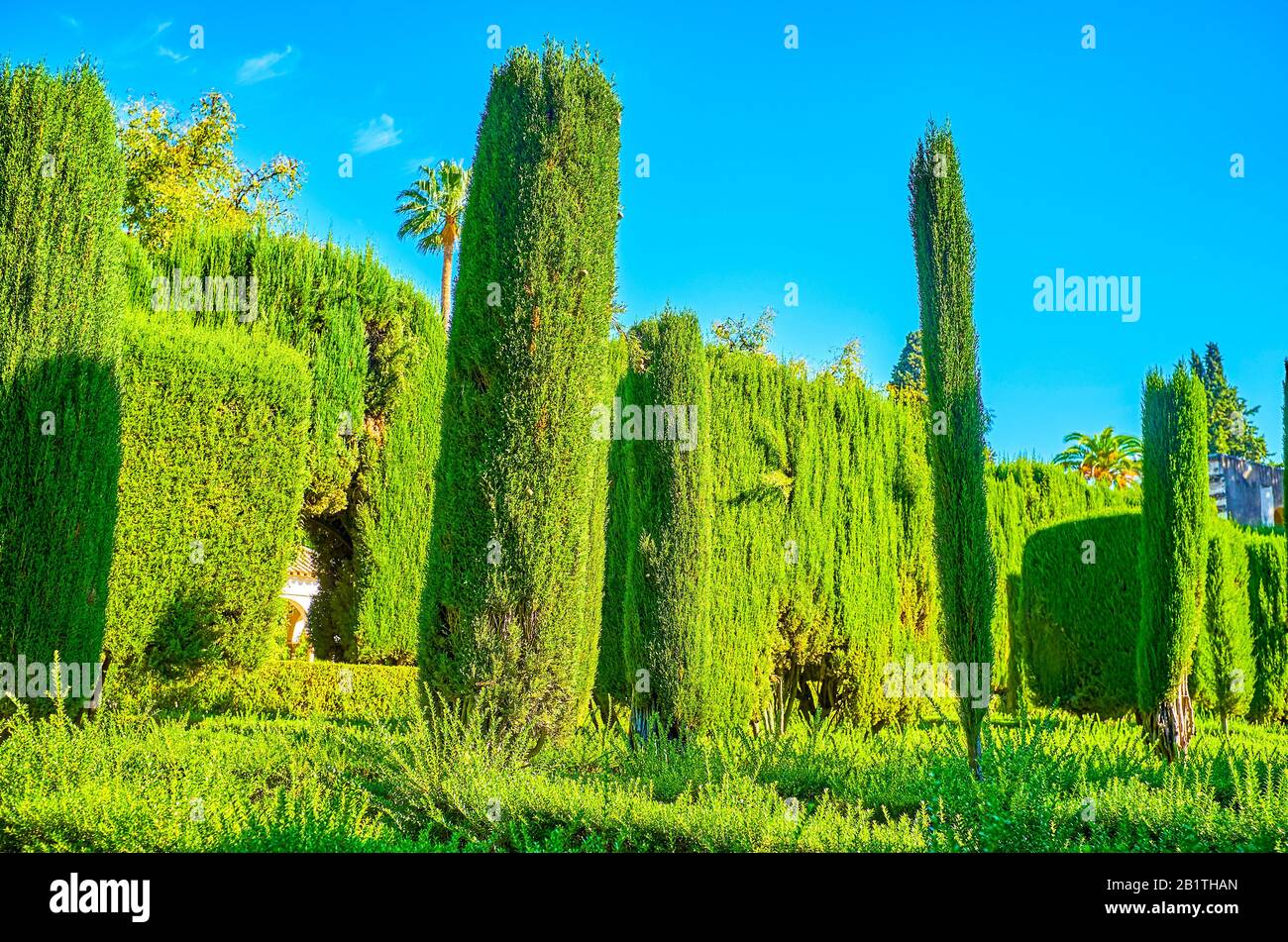SEVILLE, SPAIN - OCTOBER 1, 2019: The geometrically trimmed plants are one of the famous features of labyrinth in Alcazar Gardens, on October 1 in Sev Stock Photo