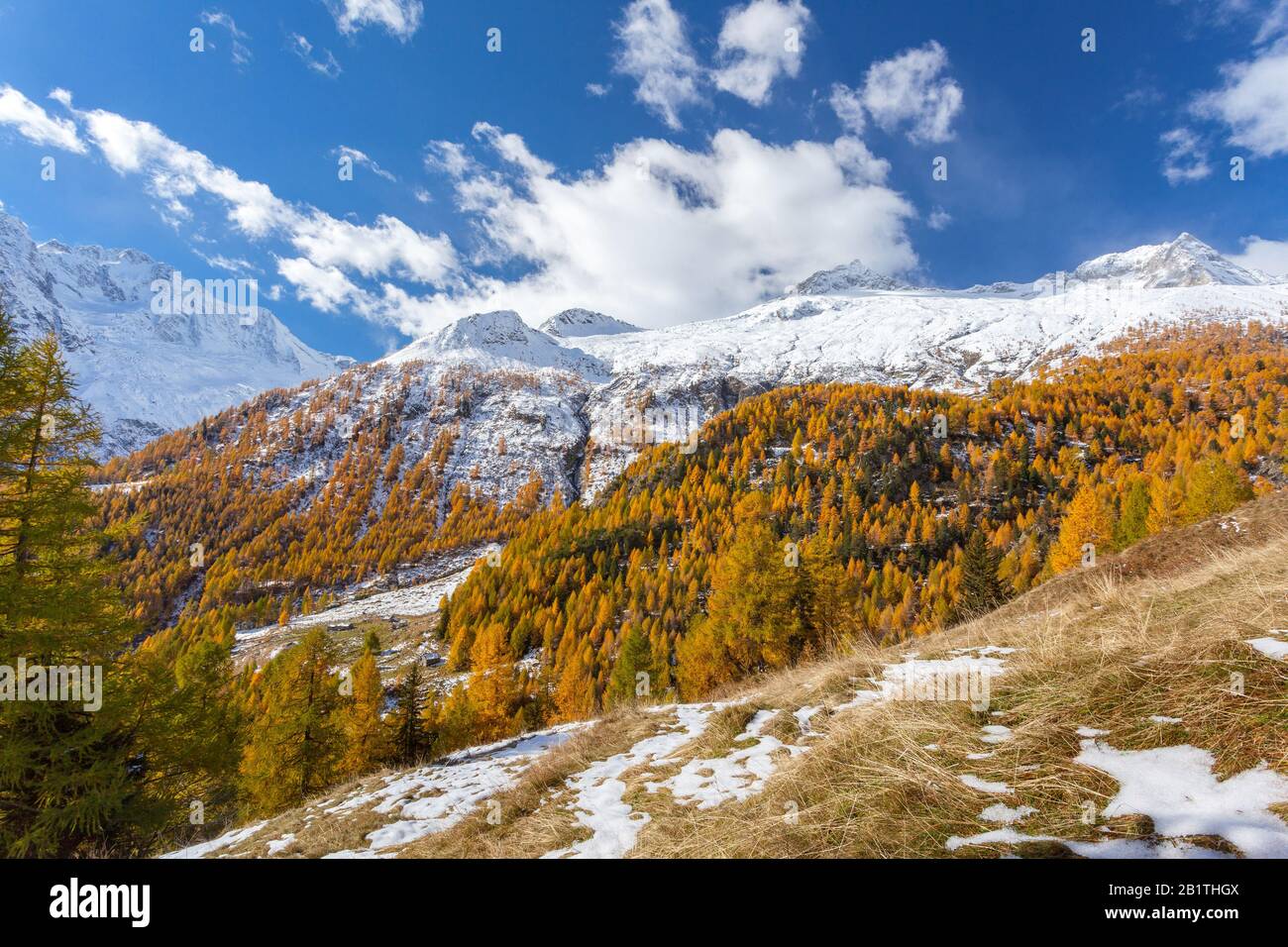 Valmalenco (IT) - Chiareggio - Alpe dell'Oro - Towards the Passo del ...