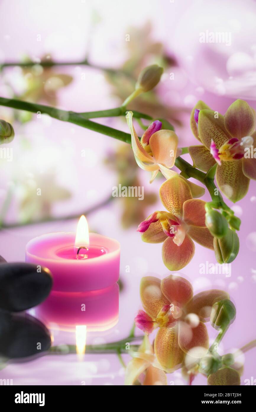 relaxation and wellness - still life Stock Photo