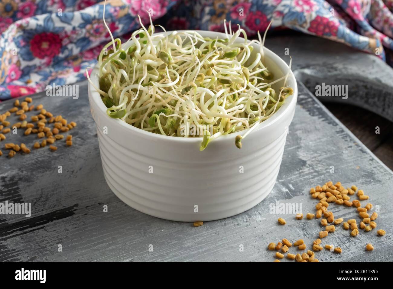 Fresh fenugreek sprouts in a white bowl Stock Photo