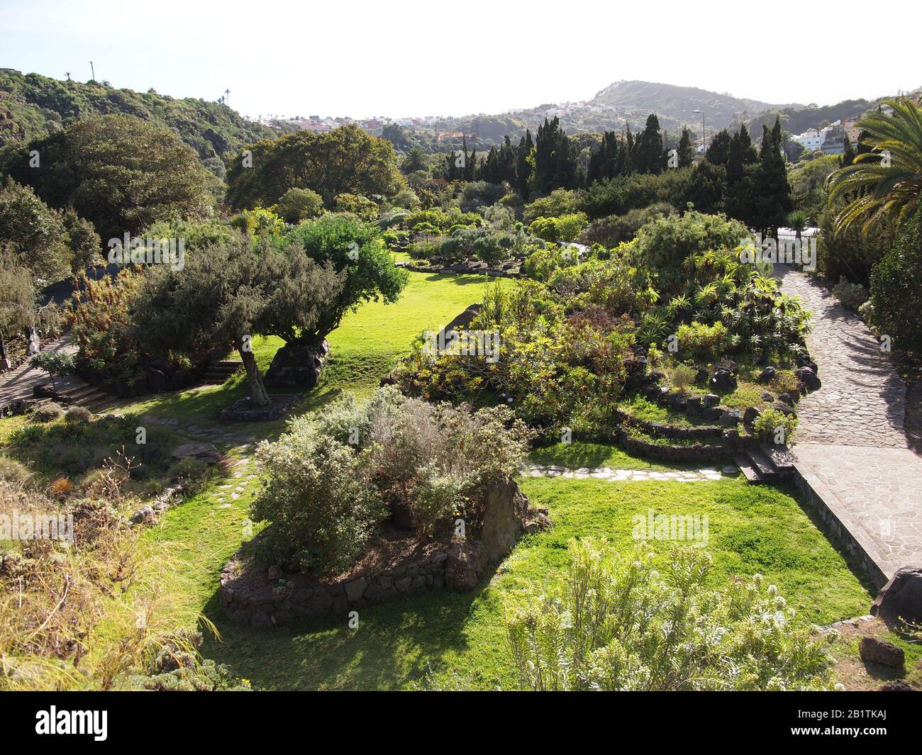 Botanical garden (Tafira Alta, Gran Canaria, Spain Stock Photo - Alamy