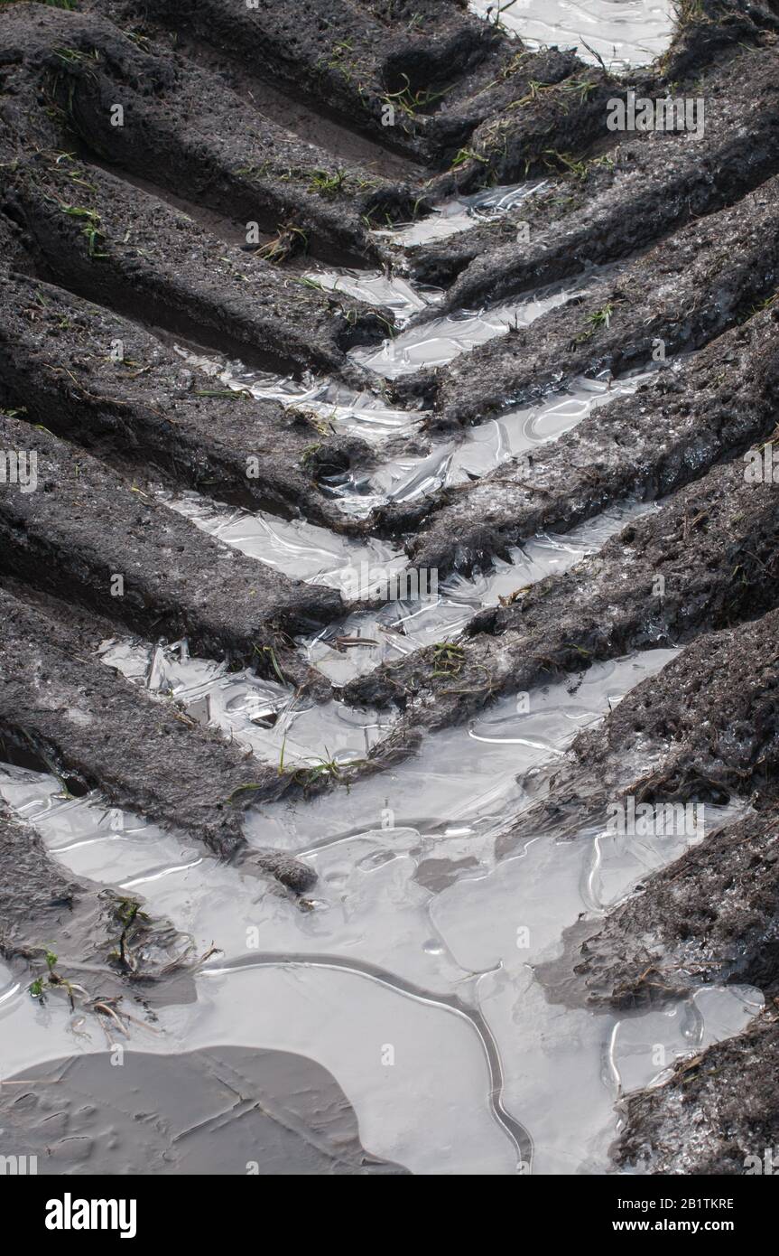 Around the UK - Ice filled Tractor Tyre Tracks - Abstract Stock Photo
