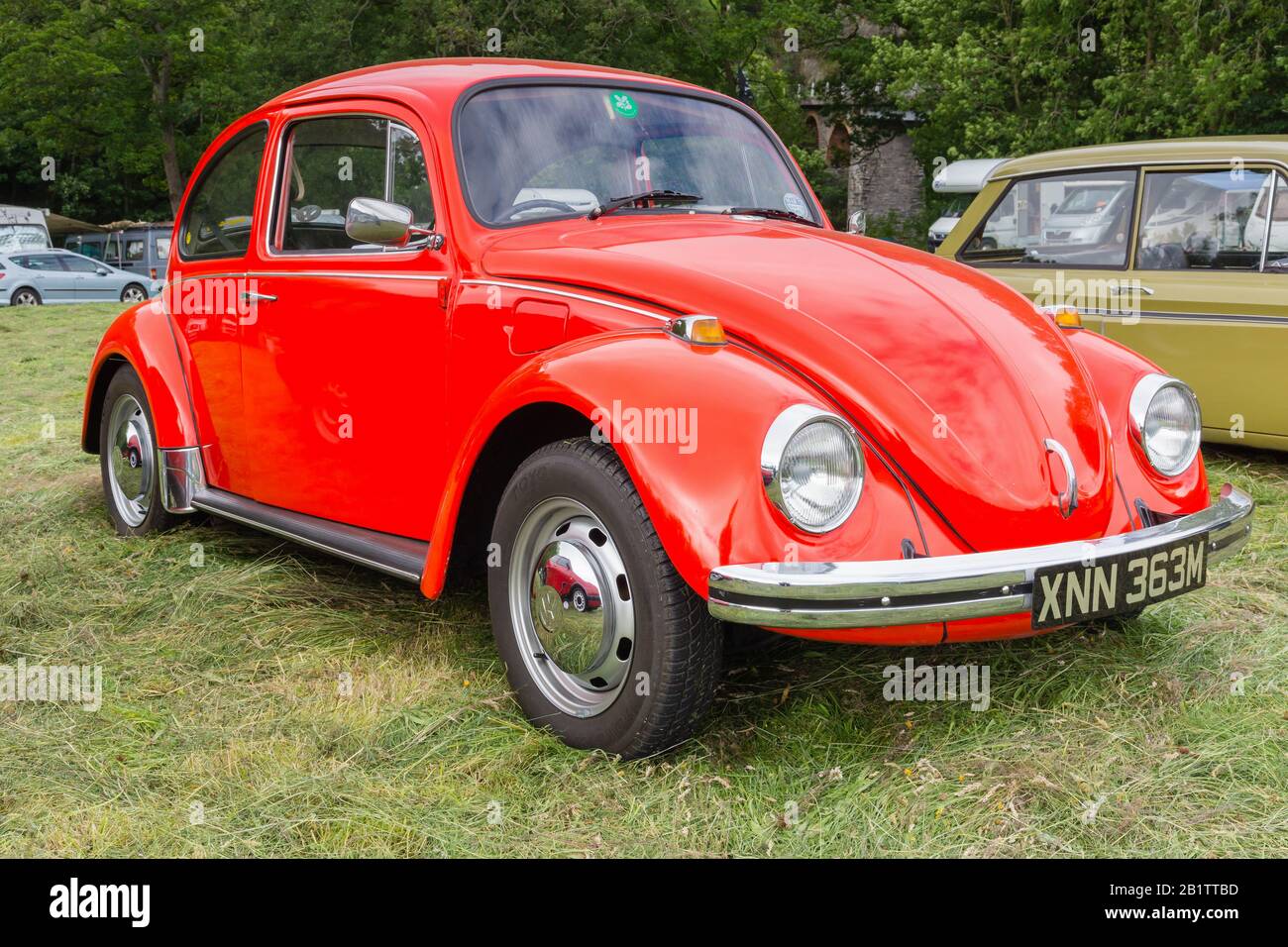 Volkswagen Type 1 or Beetle a classic German  economy car built from 1938 to 2003 at a vintage vehicle rally Stock Photo