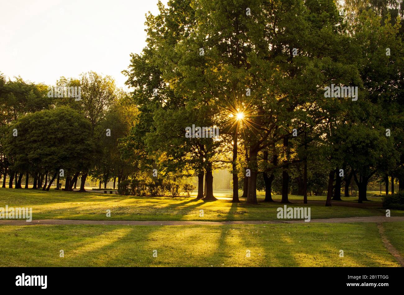 Sunlight through trees summer day hi-res stock photography and images ...