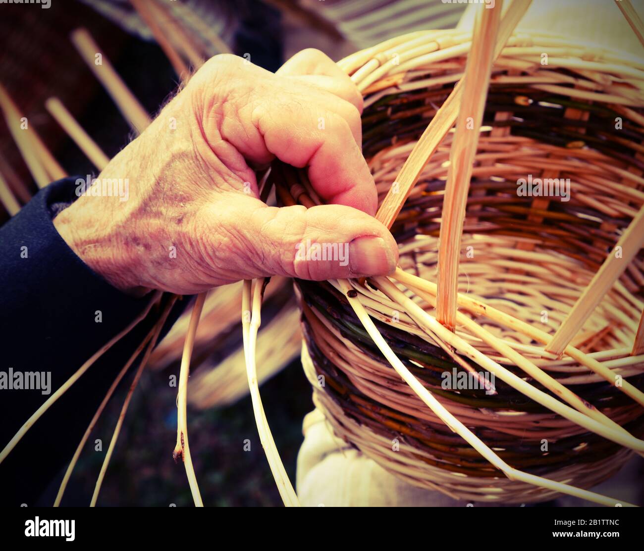 wrinkled hands of the senior craftsman while creating a wicker basket ...