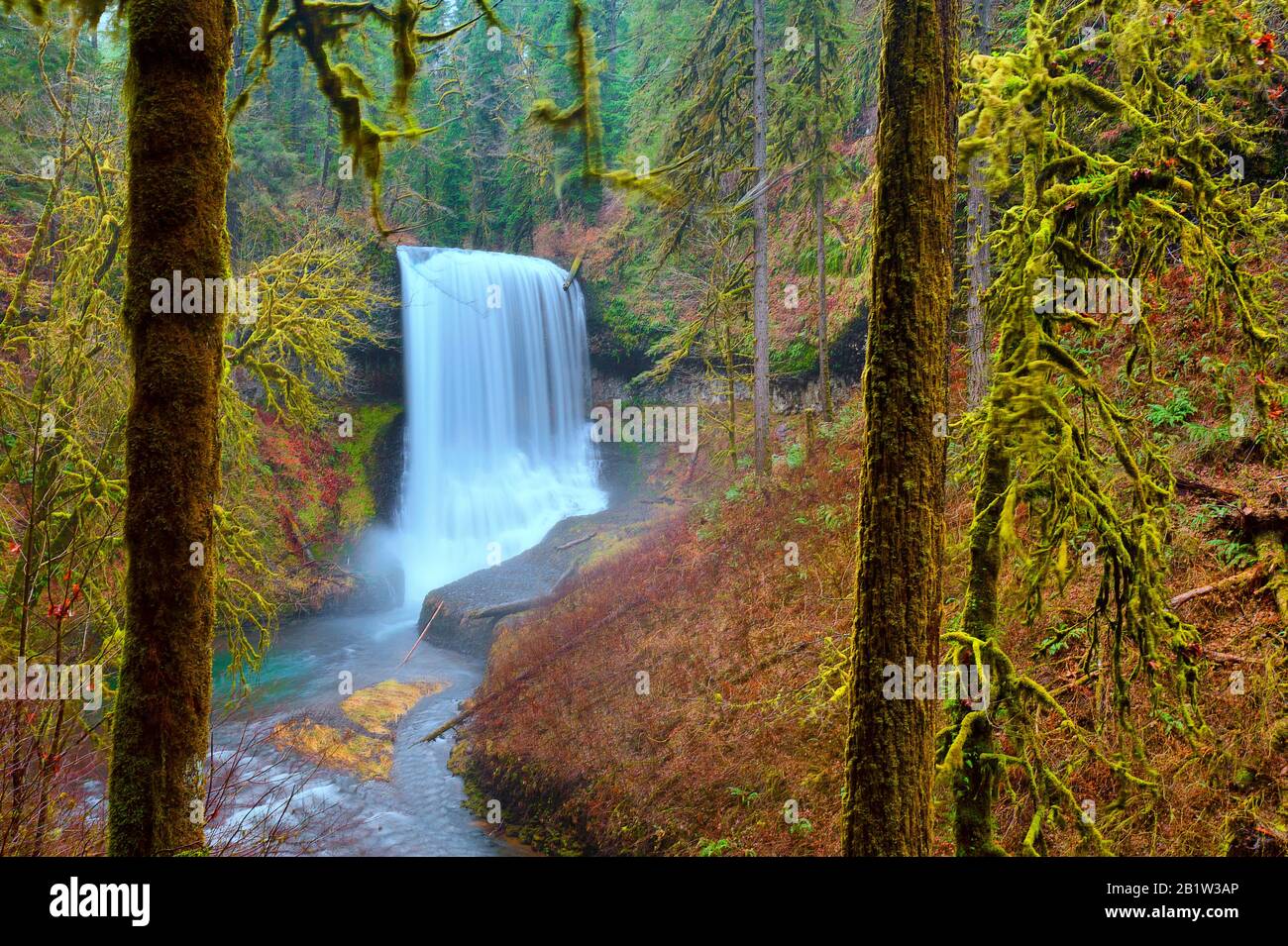 One of several waterfalls at Silverfalls State park surrounded by autumn colored forest. Stock Photo