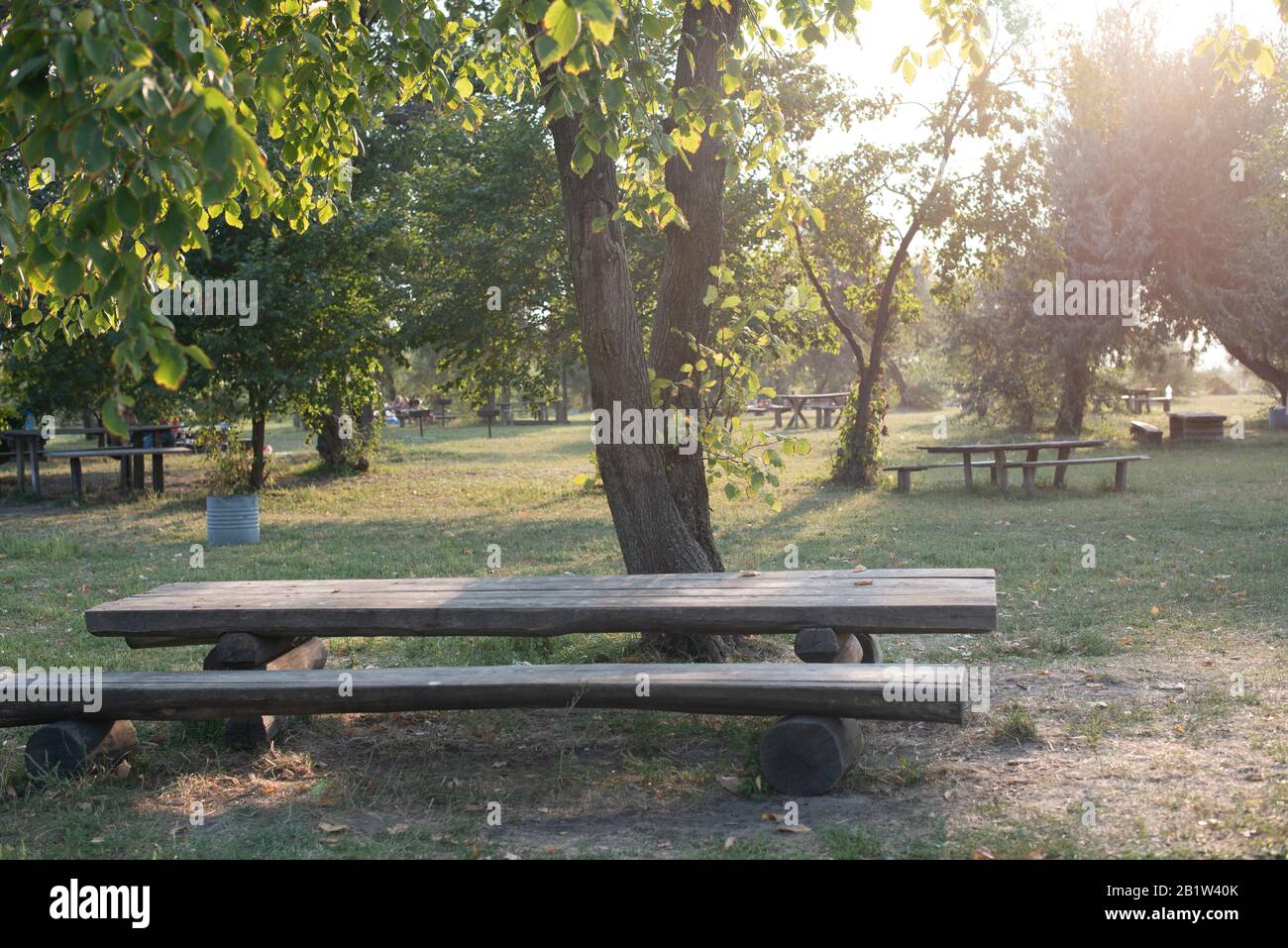 Garden wooden bench isolated in the green meadows. Wooden table and