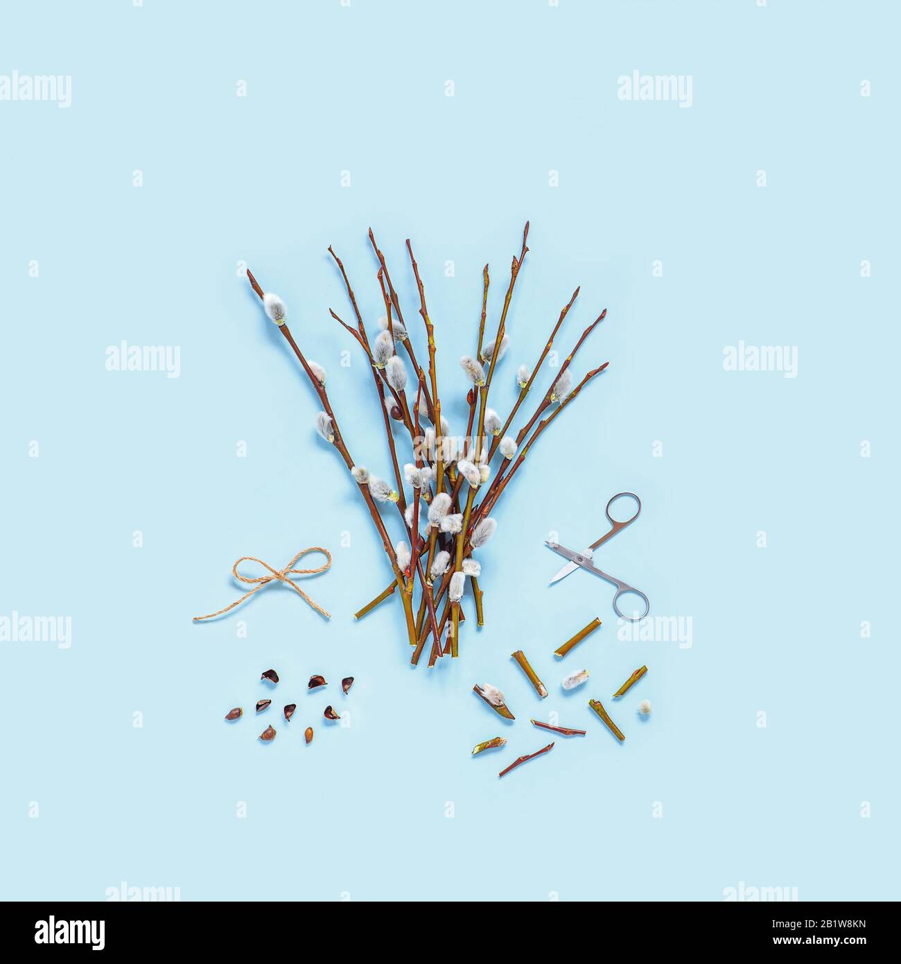 Branches with kidneys, scissors on a light background. Easter spring flat lay concept. Stock Photo