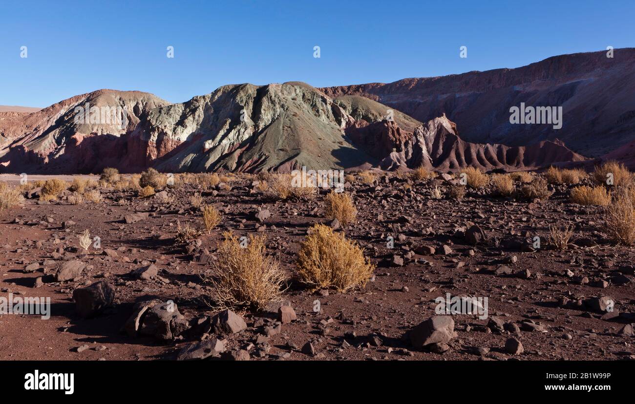 Late afternoon sun and shadow on the colorful igneous rock of Valle del Arcoiris (Rainbow Valley), Altiplano, Atacama Desert, Antofagasta, Chile Stock Photo