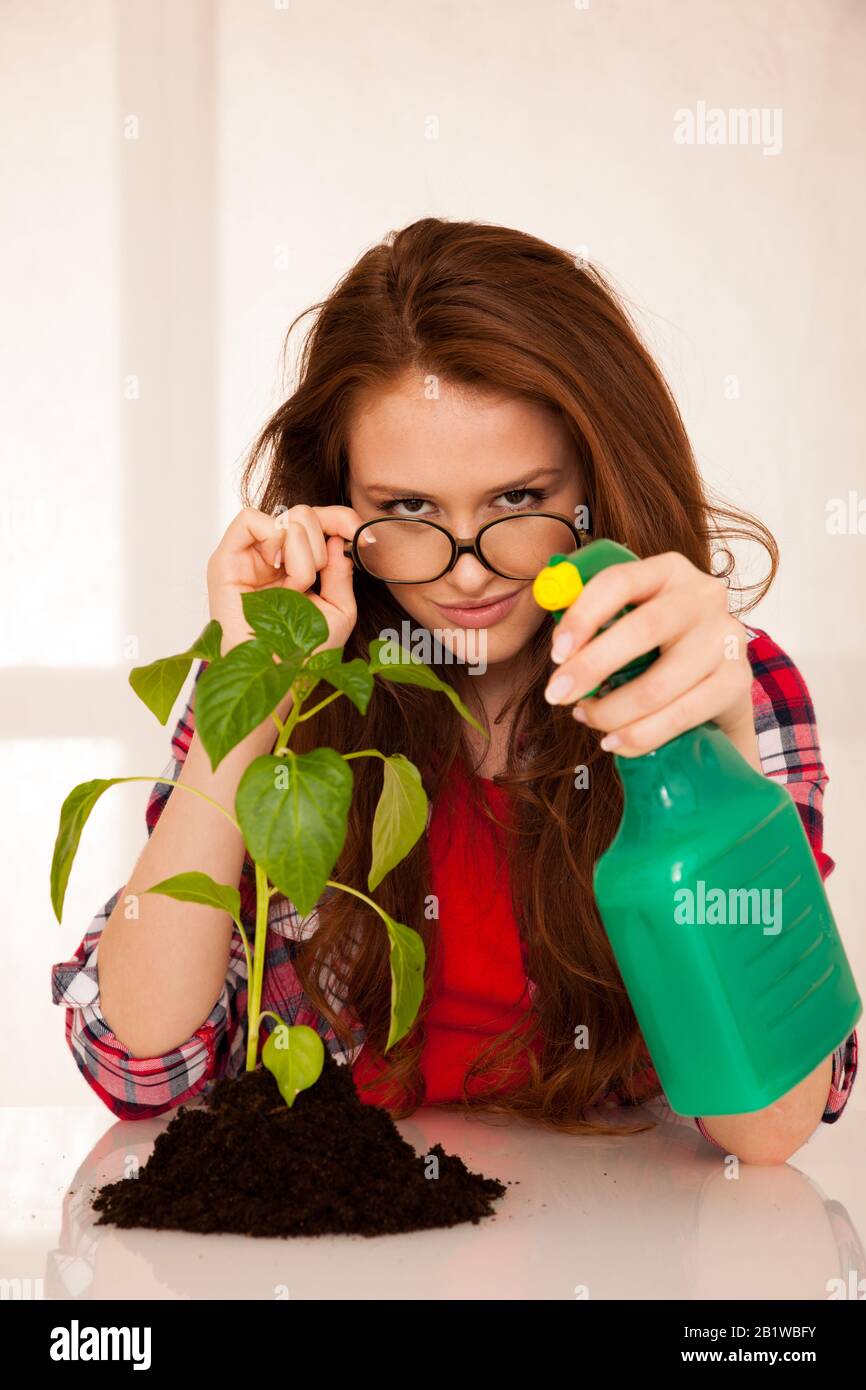 attractive woman botanist spraying a seedling Stock Photo Alamy