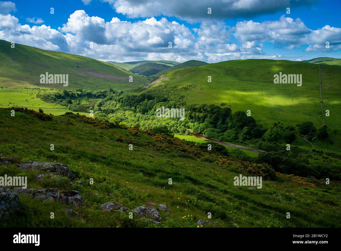 The College Valley in the Cheviot Hills, Northumberland National Park ...