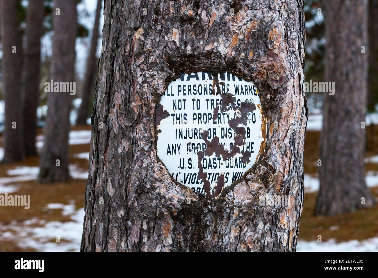Warning sign near US Coast Guard station overgrown by red pine tree bark in Marquette, Michigan, USA Stock Photo