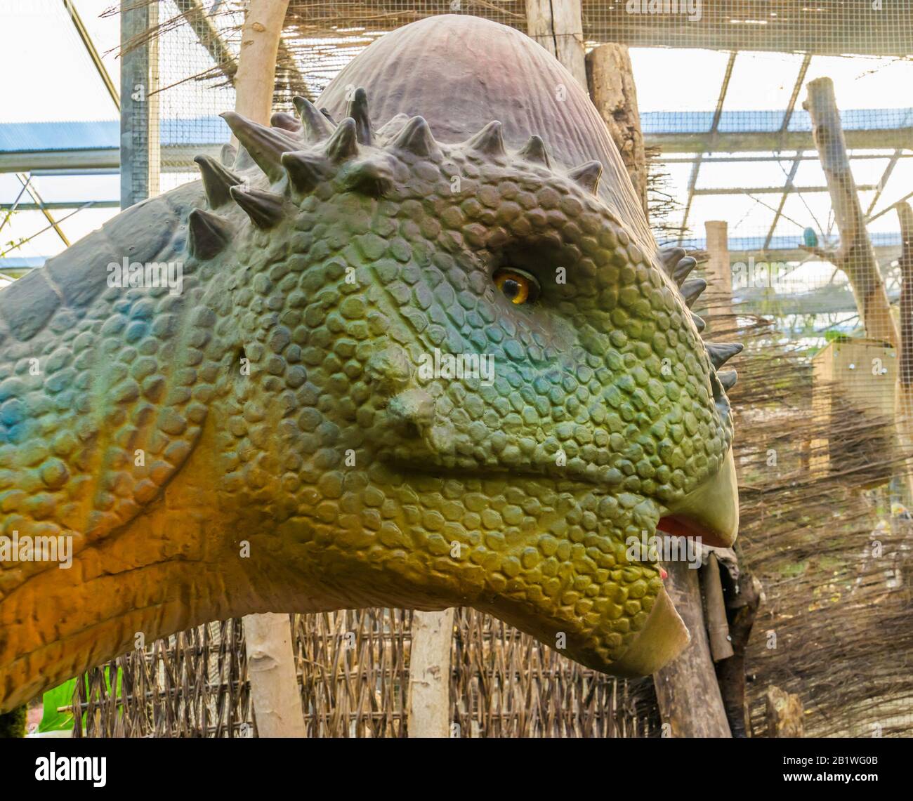 closeup of the face of a pachycephalosaurus replica statue, extinct prehistoric dinosaur specie Stock Photo