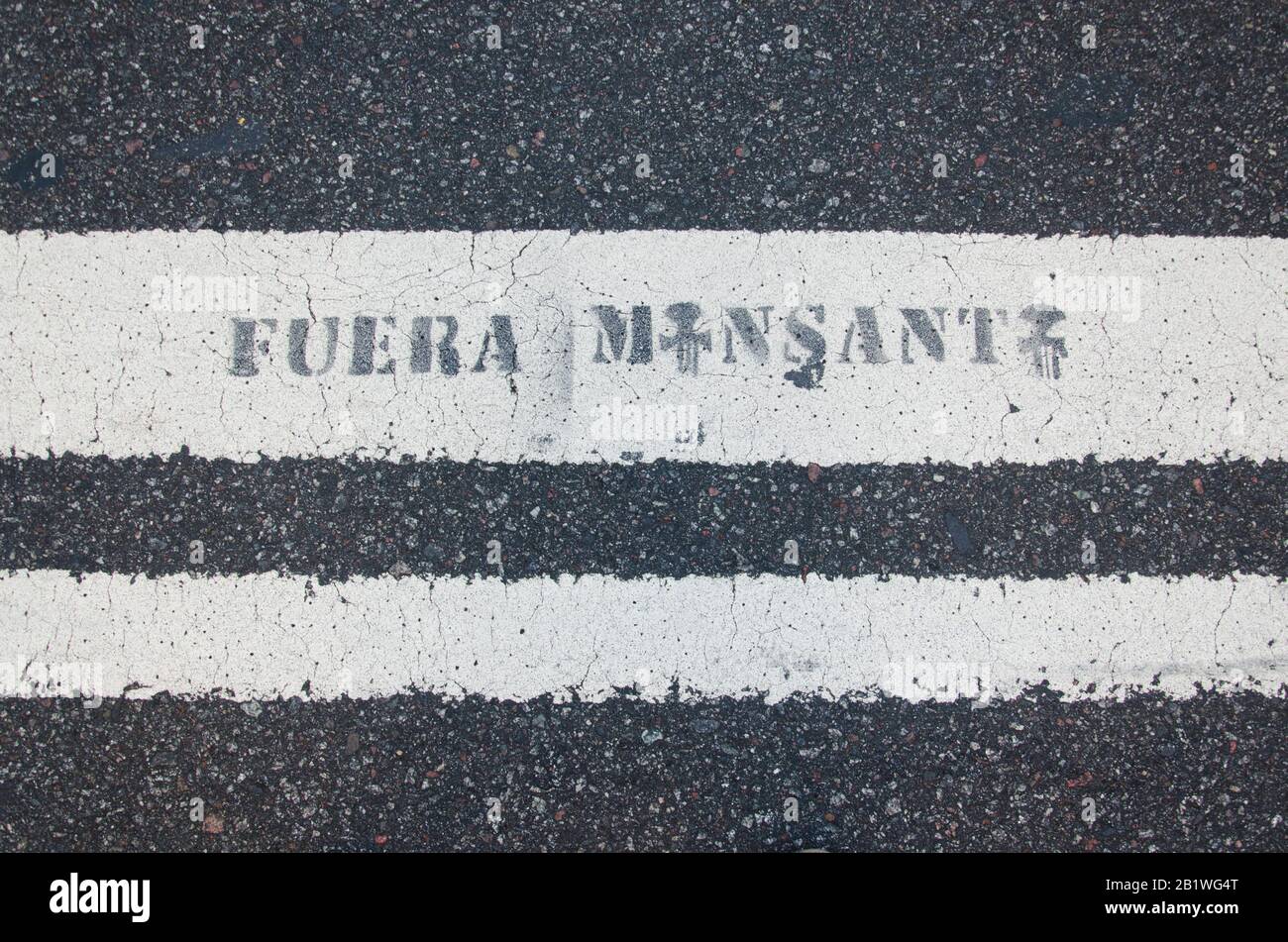 Capital Federal, Buenos Aires / Argentina; Jan 22, 2016: message against Monsanto Company and its business of genetically modified crops and toxic her Stock Photo