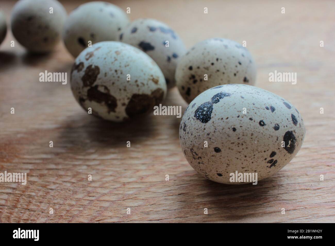 Closeup of quail eggs on wooden background Stock Photo