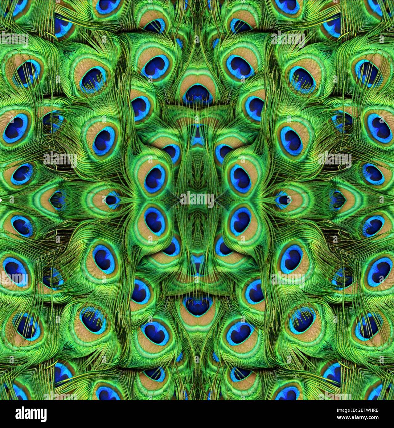 Abstract symmetric pattern of a peacock's feathers. The image has a mirror effect with a kaleidoscopic pattern as a background. Stock Photo