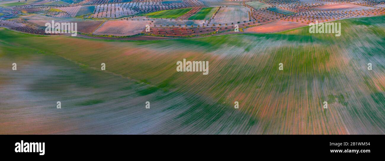 Aerial view of cereal fields, Toledo, Castilla-La Mancha, Spain, Europe Stock Photo