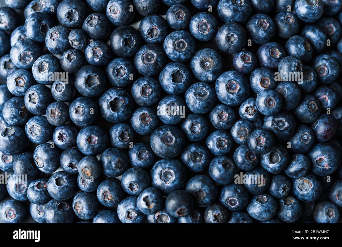 Flat lay up above view of fresh organic blueberries. Stock Photo