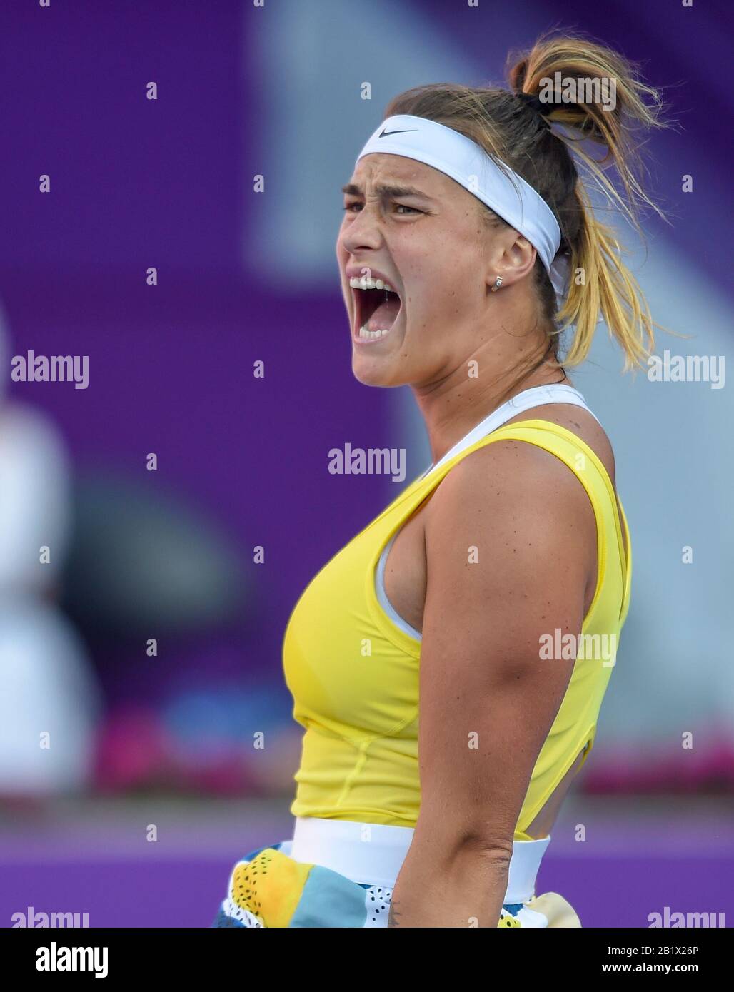 aryna-sabalenka-celebrates-high-resolution-stock-photography-and-images