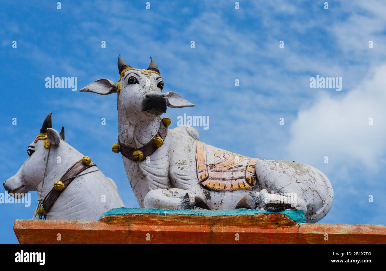Cow statue in indian temple Stock Photo