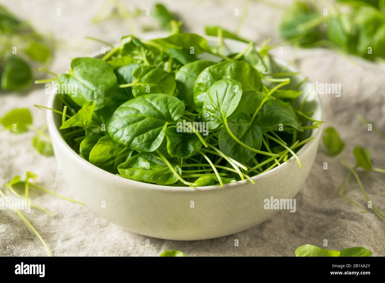 Raw Green Organic Watercress in a Bowl Stock Photo