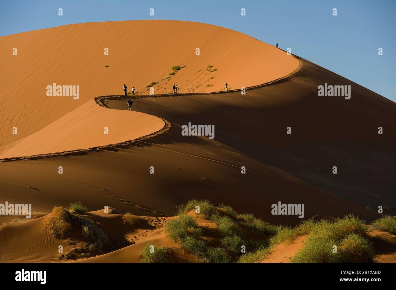 Tourists climbing Sossusvlei dune, Namib Naukluft National Park ...