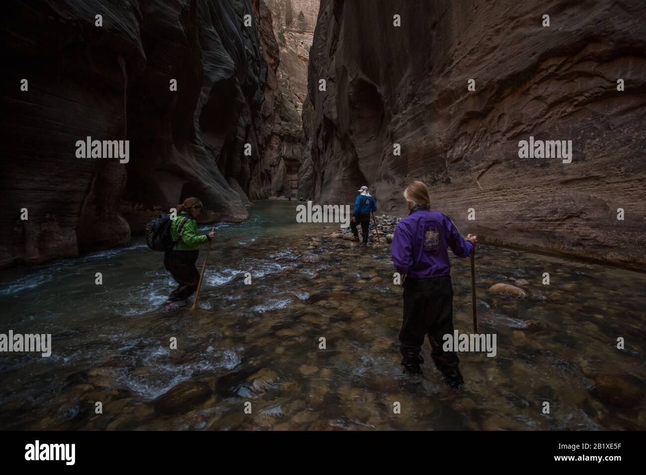 Hike zion national park hi-res stock photography and images - Alamy