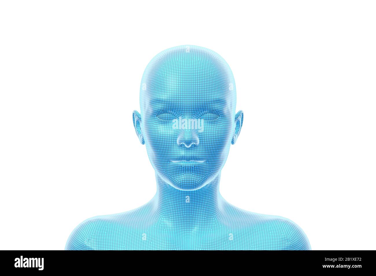 Woman, Head of Female Human, 3D Wireframe Stock Photo