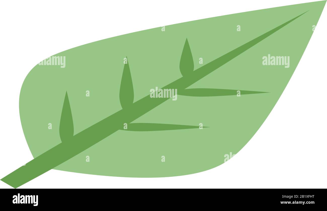 Persimmon leaf icon, isometric style Stock Vector