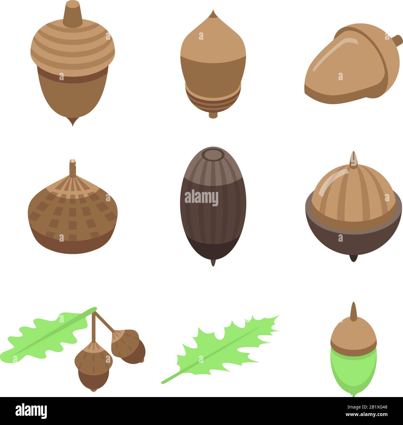 Acorn icons set, isometric style Stock Vector