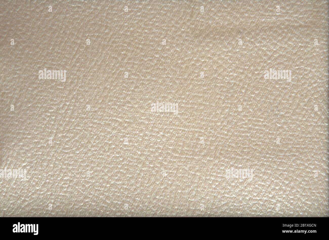 Fragment of genuine leather rough manufacture painted in beige color ...